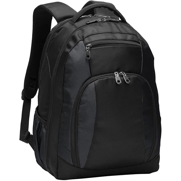 Amazon.com | Port Authority Basic Backpack | Casual Daypacks