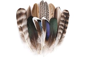 MehelloFeather Natural Pheasant Feathers 12Pcs Bulk Feathers 6 Style for DIY Crafts Hat Floral Arrangements Halloween Decorations