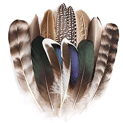 MehelloFeather Natural Pheasant Feathers 12Pcs Bulk