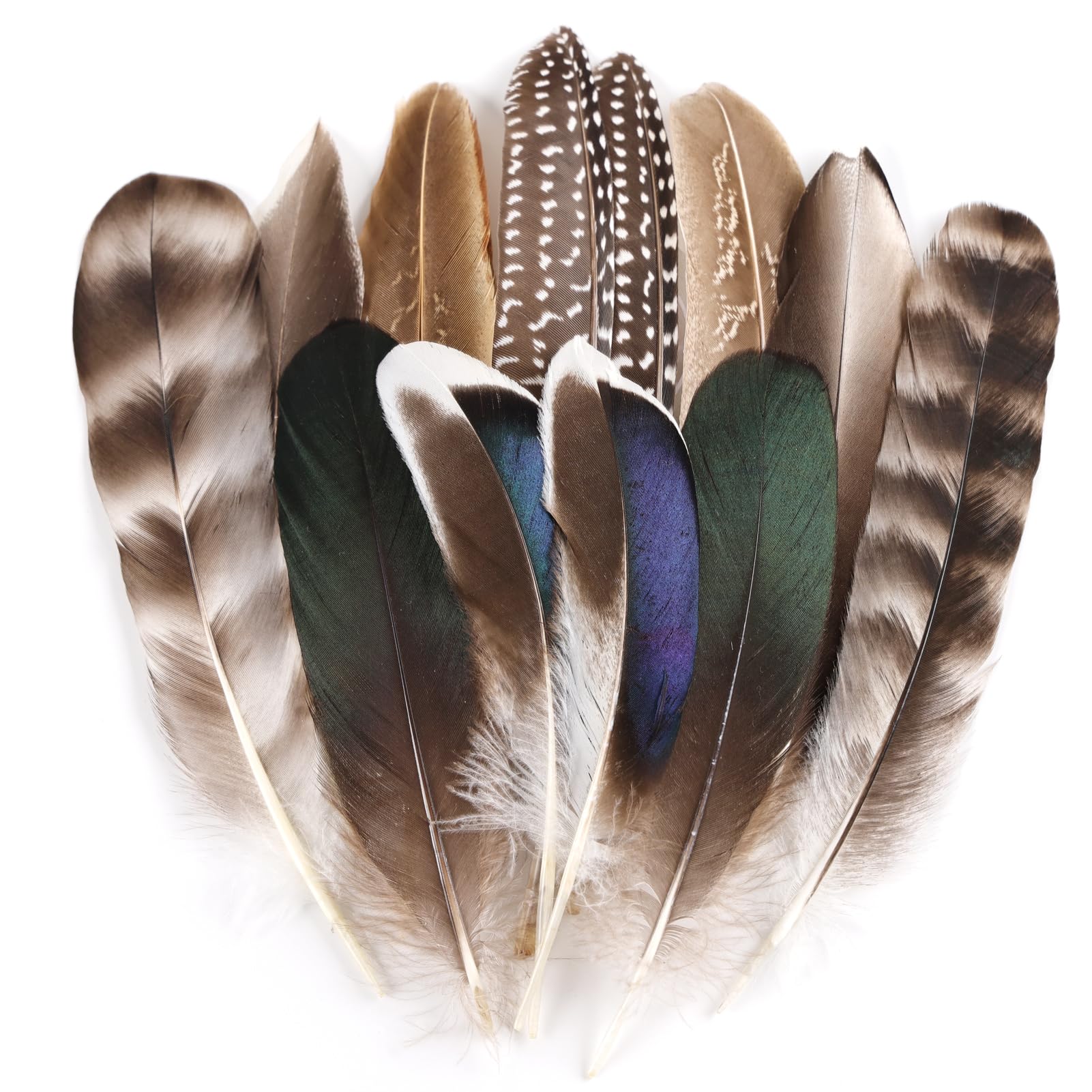 MehelloFeather Natural Pheasant Feathers 12Pcs Bulk