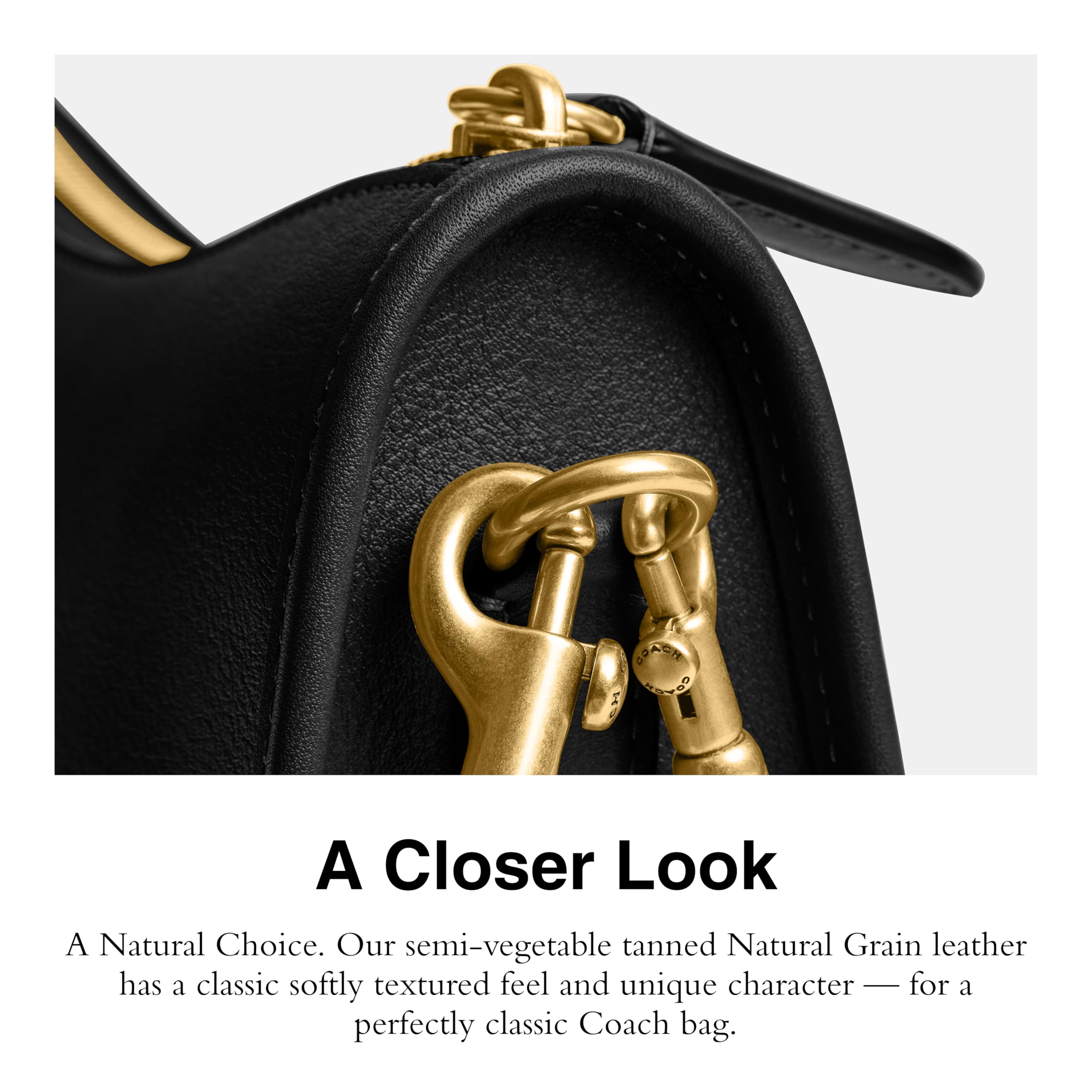 Coach Women's Natural Grain Leather Waverly Bag