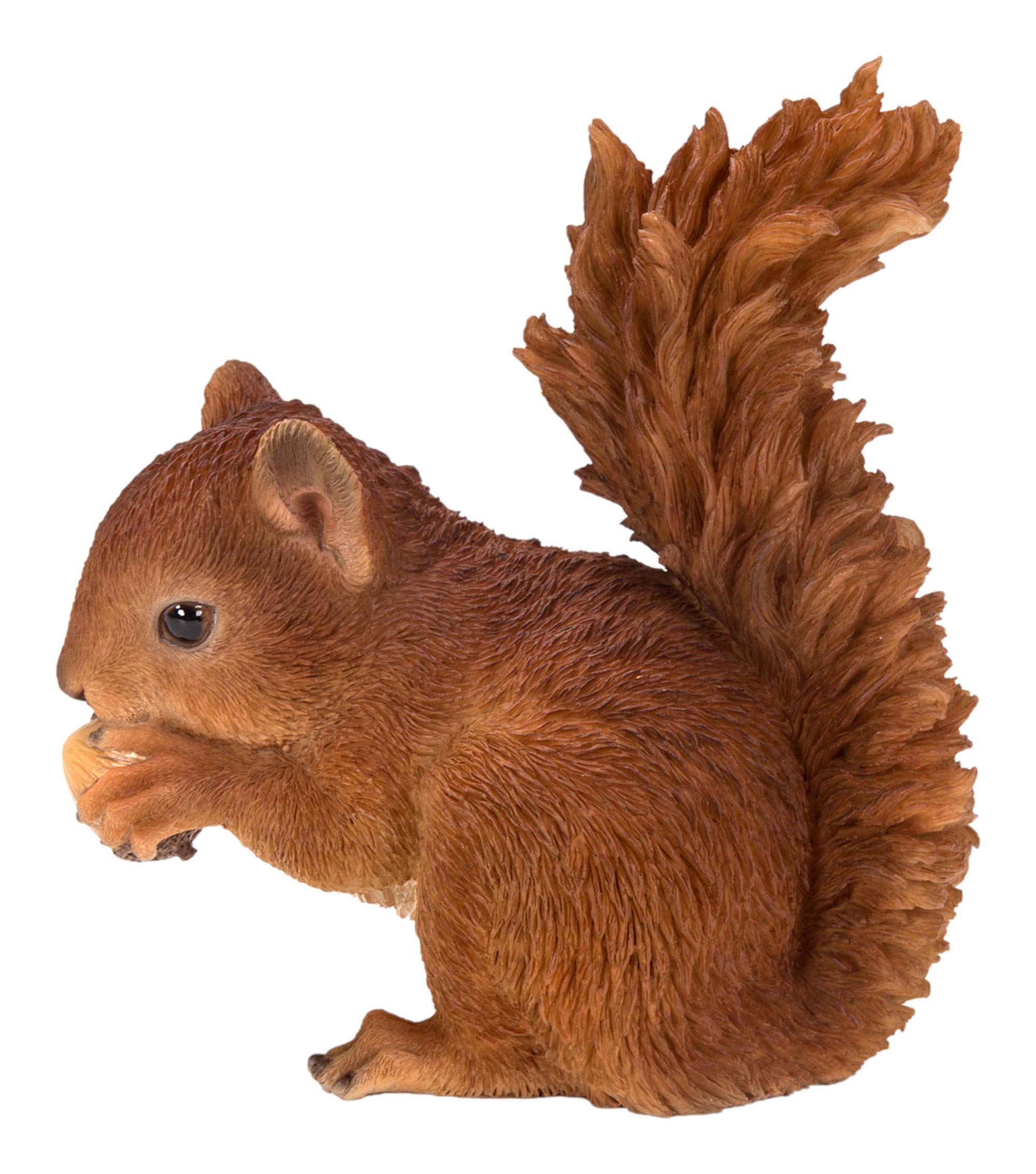 Real Life Baby Red Squirrel | Resin Home or Garden Decoration | XRL-RS01-F