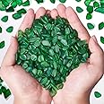 QEQEKAKA Sea Glass Stones for Crafts About 1LB (405g/14.28oz) Green Glass Pebbles Gemstones Bulk for Aquarium Rocks Fish Tank Gravel Green Filler for Vases Centerpieces