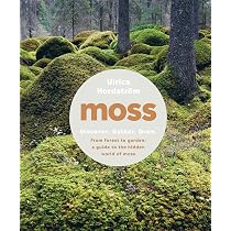 The Magical World of Moss Gardening | Amazon.com.br