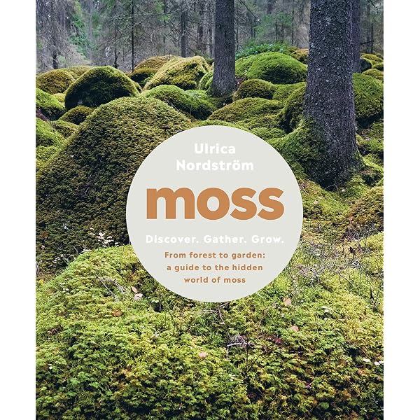 Amazon.com: The Magical World of Moss Gardening: 9781604695601