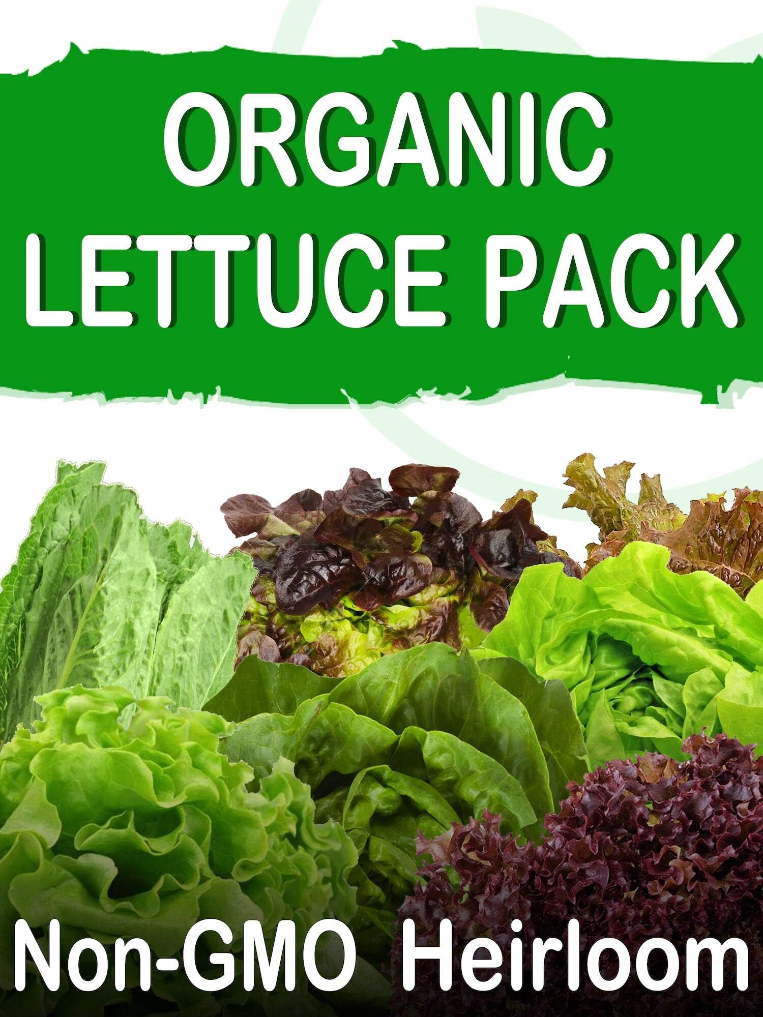 SavvyGrow Organic Heirloom Lettuce Seeds (10 Varieties) – Survival Garden Seeds for Planting - Open Pollinated, 85% Plus Germination Rate, Non-GMO & Source in USA Vegetable Seed (Organic 4X)