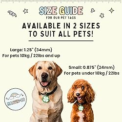 Seizure Alert Dog Tag – Add Your Info to The Back
