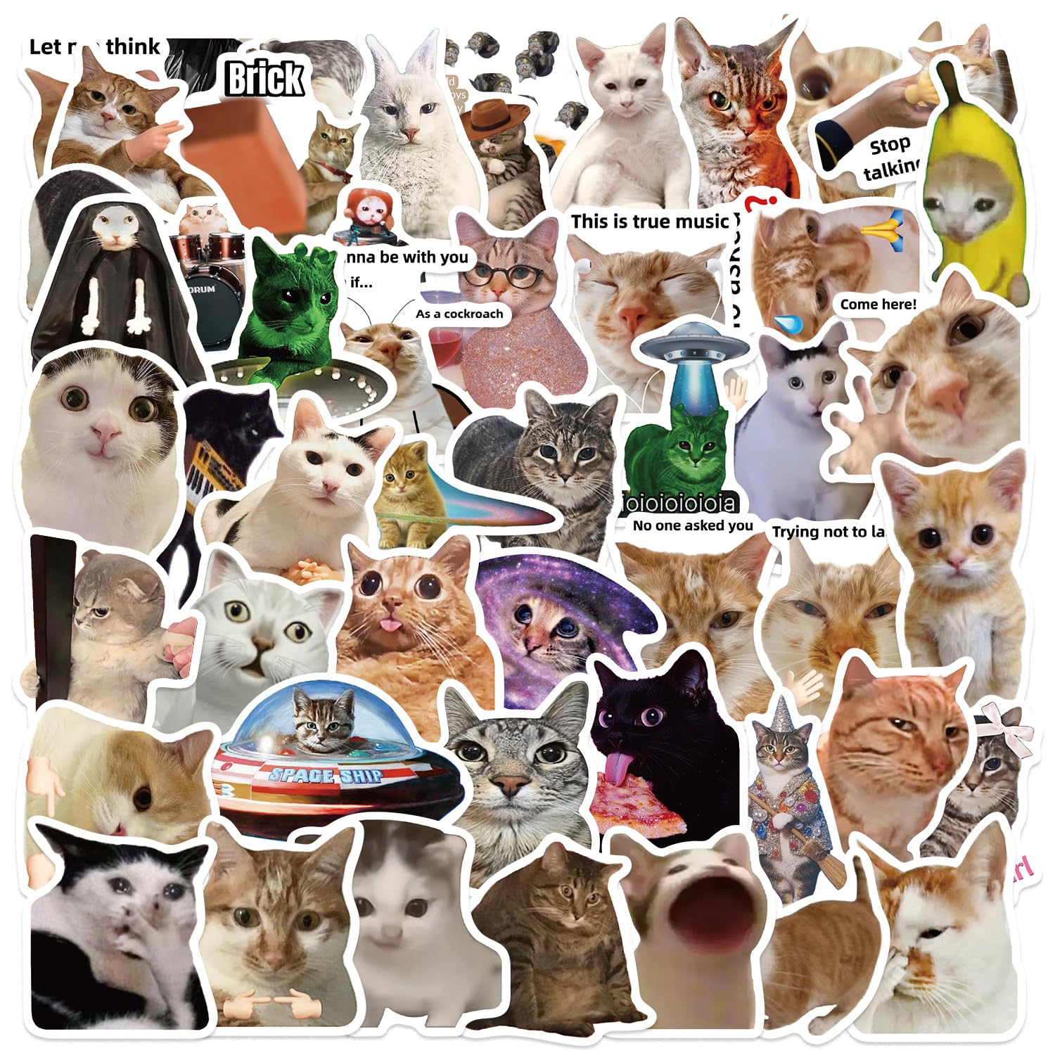 SLNCWTR Funny Cat Meme Stickers, 50Pcs Cute Stickers for Teens Adults.