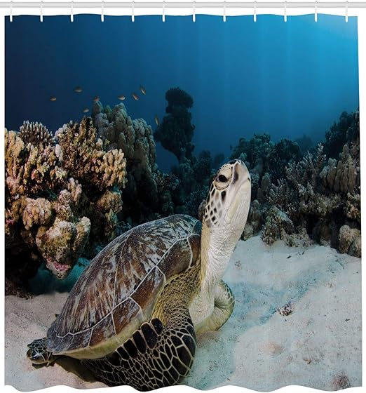 Amazon Com Turtle Shower Curtain Underwater Sea Animal On Coral