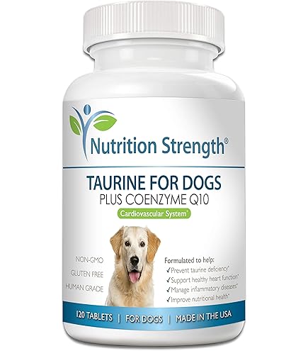 Amazon.com : XCEL Taurine for Dogs 1000 mg Supplement with L-Carnitine,  Quarter Scored Tablets (250 mg Split), Up to 240 Servings, Supports Heart,  Eye & Energy Health : Pet Supplies