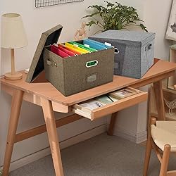 JSungo 2 Pack File Box with 10 Hanging Filing