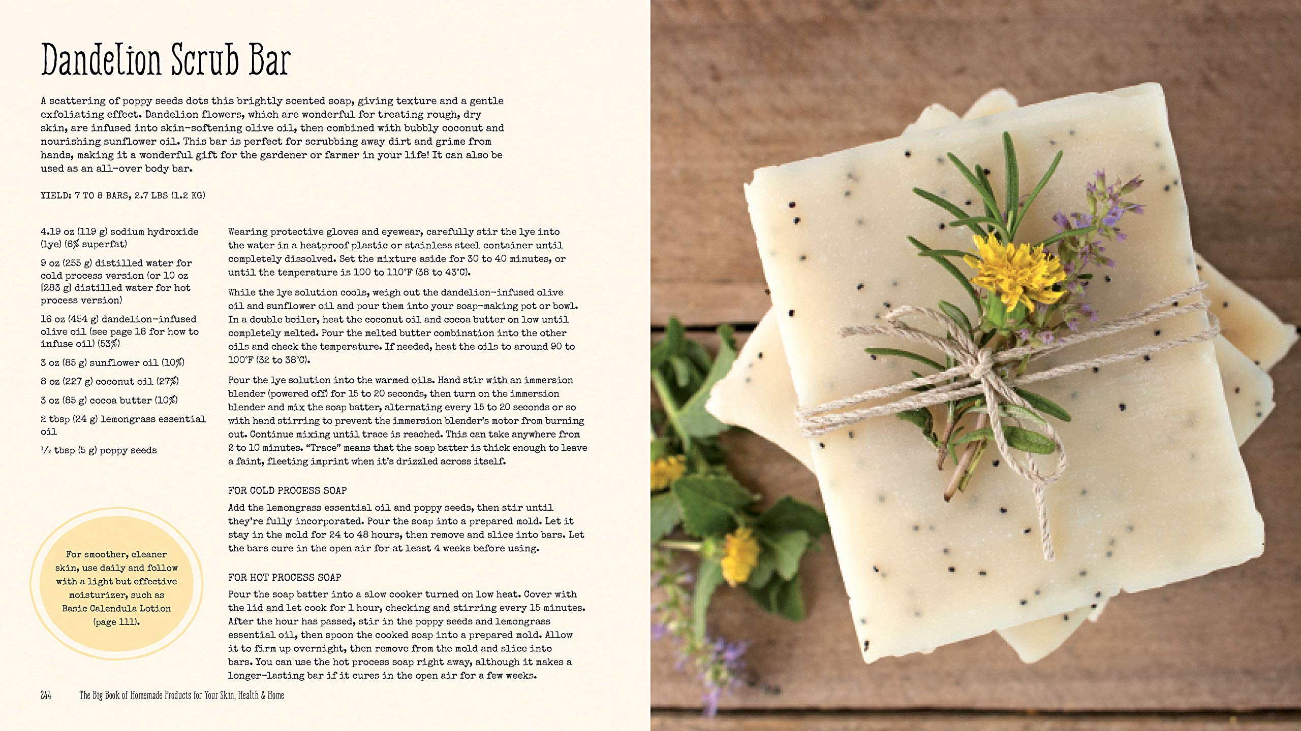 The Big Book of Homemade Products for Your Skin, Health and Home: Easy, All-Natural DIY Projects Using Herbs, Flowers and Other Plants