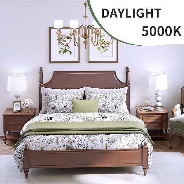EVELOR A19 LED LIGHT BULBS,100 WATT EQUIVALENT DAYLIGHT 5000K EFFICIENT 13W,1500 LUMENS E26 BASE, NON-DIMMABLE, 15000-HOUR LIFESPAN FOR BEDROOM, LIVING ROOM, OFFICE, 6-PACKS