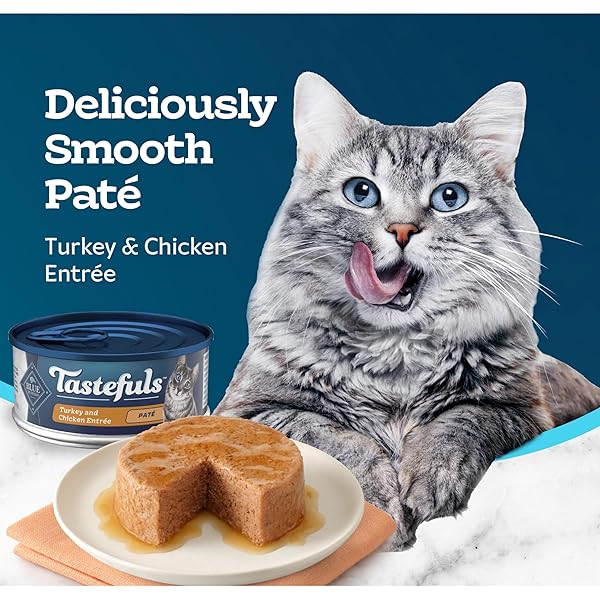 BLUE BUFFALO TASTEFULS NATURAL PATE WET CAT FOOD VARIETY PACK, CHICKEN, TURKEY & CHICKEN AND OCEAN FISH & TUNA 5.5-OZ CANS (24 COUNT – 8 OF EACH)