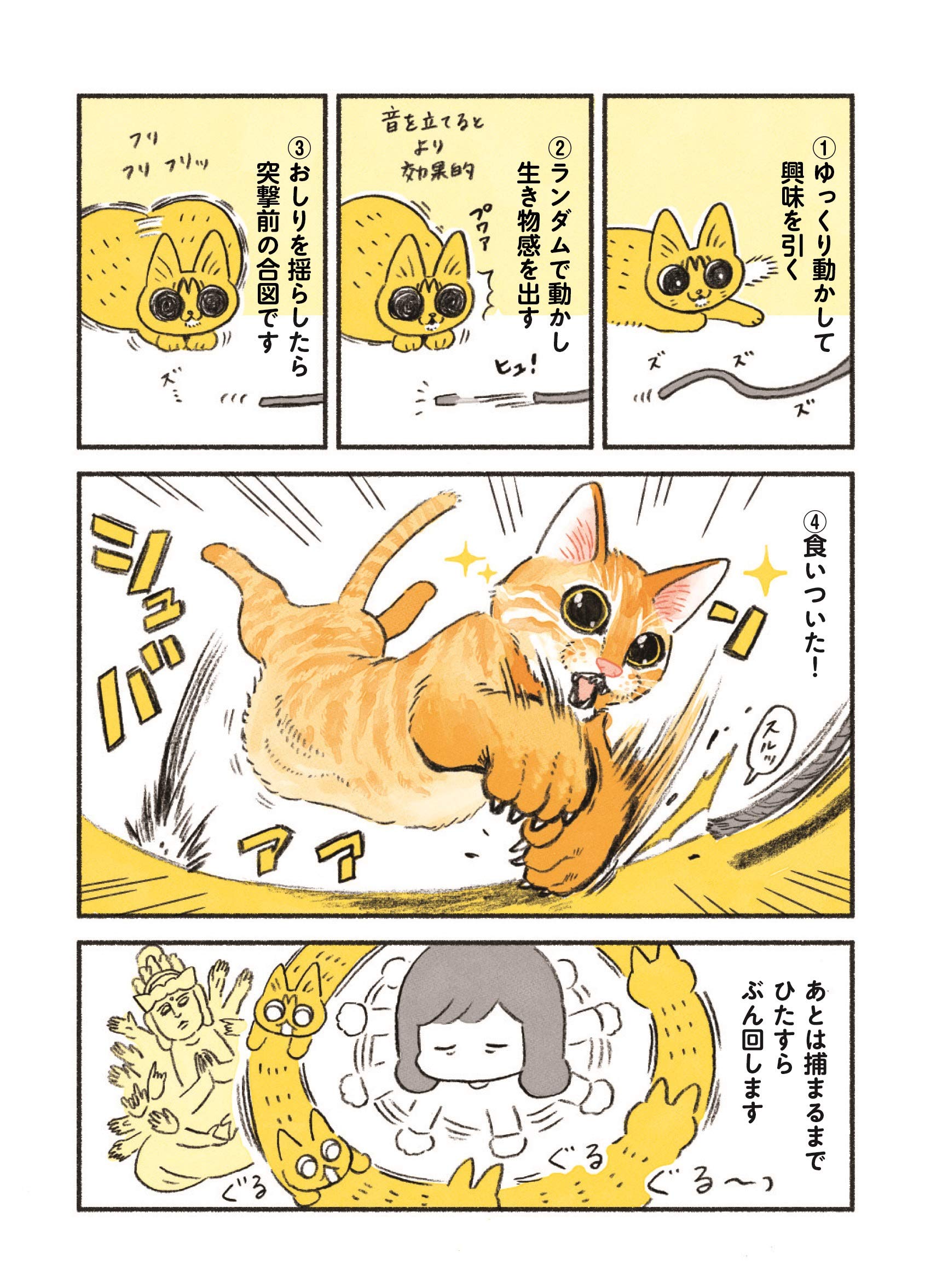 茶トラのやっちゃん 類 本 通販 Amazon