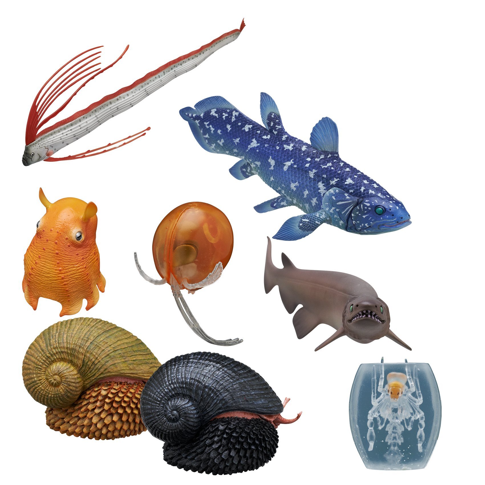 Ikimon Kitan Club Deep Sea Creature Rubber Toys Version 1 Blind Box Includes 1 Of 8 Collectable Figurines Fun And Educational Authentic Japanese Design Buy Online In United Arab Emirates At Desertcart Ae Productid 45518115