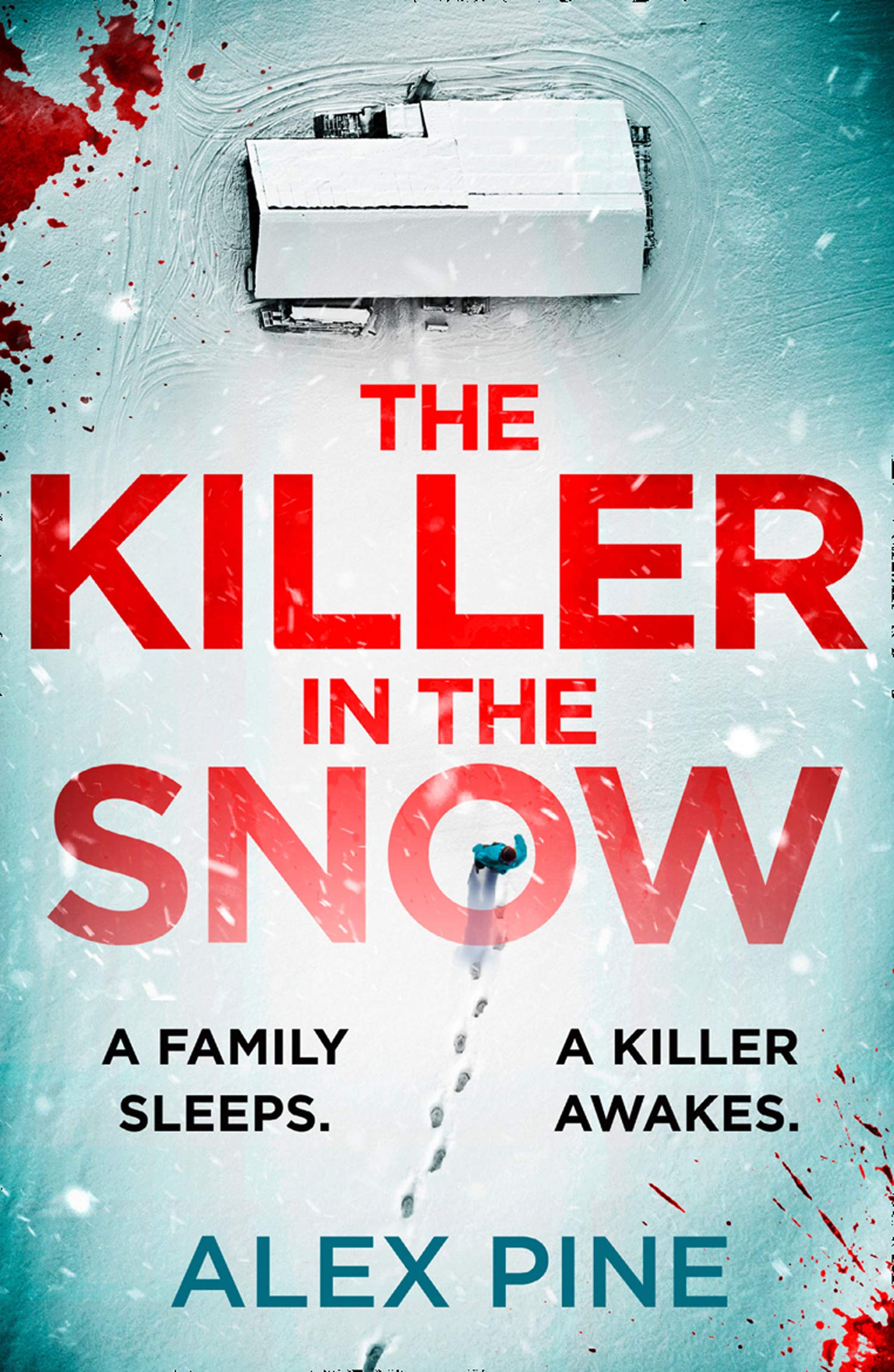 The Killer in the Snow: The new and most chilling British detective crime fiction book you’ll read this year: Book 2 (DI James Walker series)