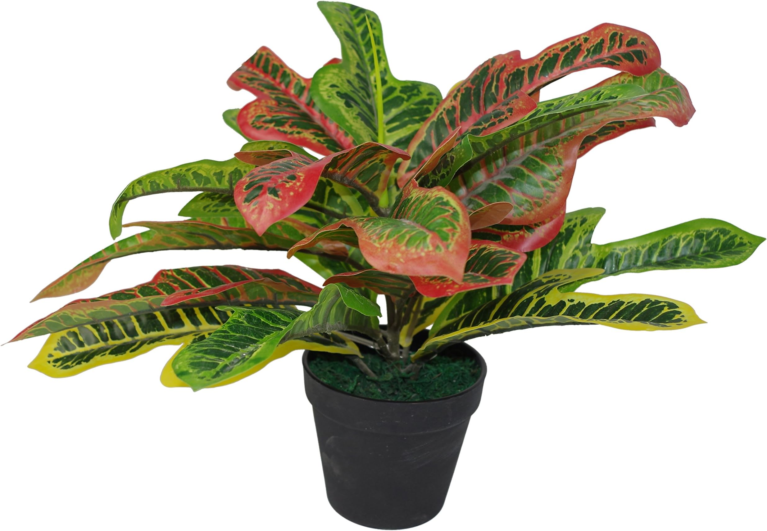 Leaf Artificial Codiaeum Multicoloured House Plant, 40cm