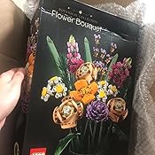 Lego 乐高鲜花花束建筑套件 21年新推出的特殊的成人花束创意项目 756件 亚马逊中国 玩具