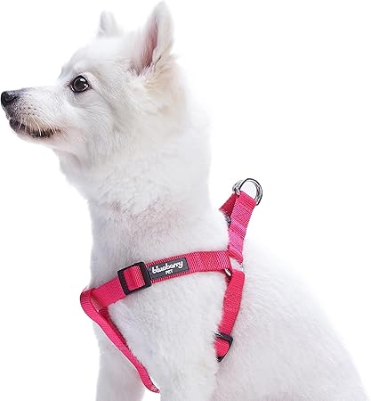 can dogs eat pork bones safely