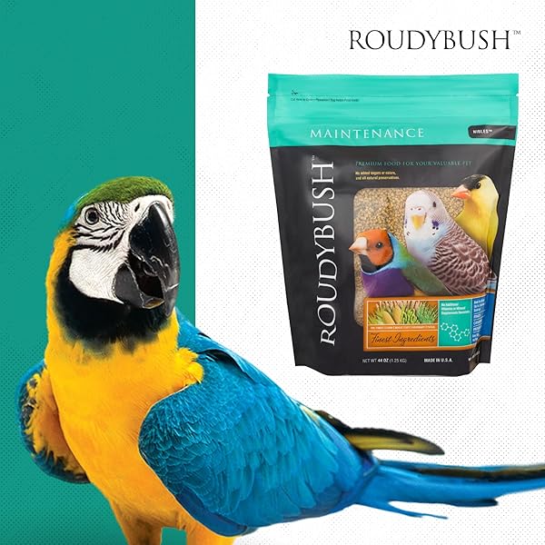 ROUDYBUSH DAILY MAINTENANCE FOOD FOR BIRDS – SCIENTIFICALLY FORMULATED BIRD FEED – BIRD FOOD PELLETS W/CORN, WHEAT, SOY & MORE – NUTRITIOUS & HEALTHY FEED FOR BIRDS (NIBLES, 44OZ)