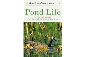 Pond Life: Revised and Updated (A Golden Guide from St. Martin's Press)