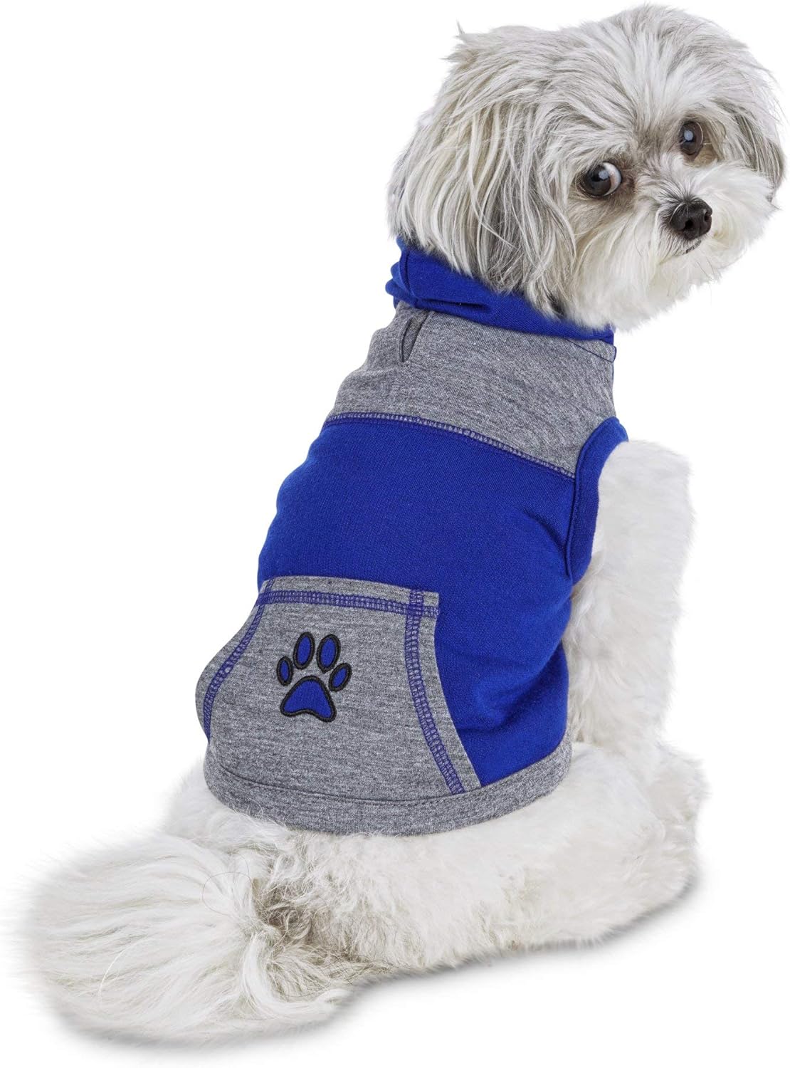 bond and company dog clothes