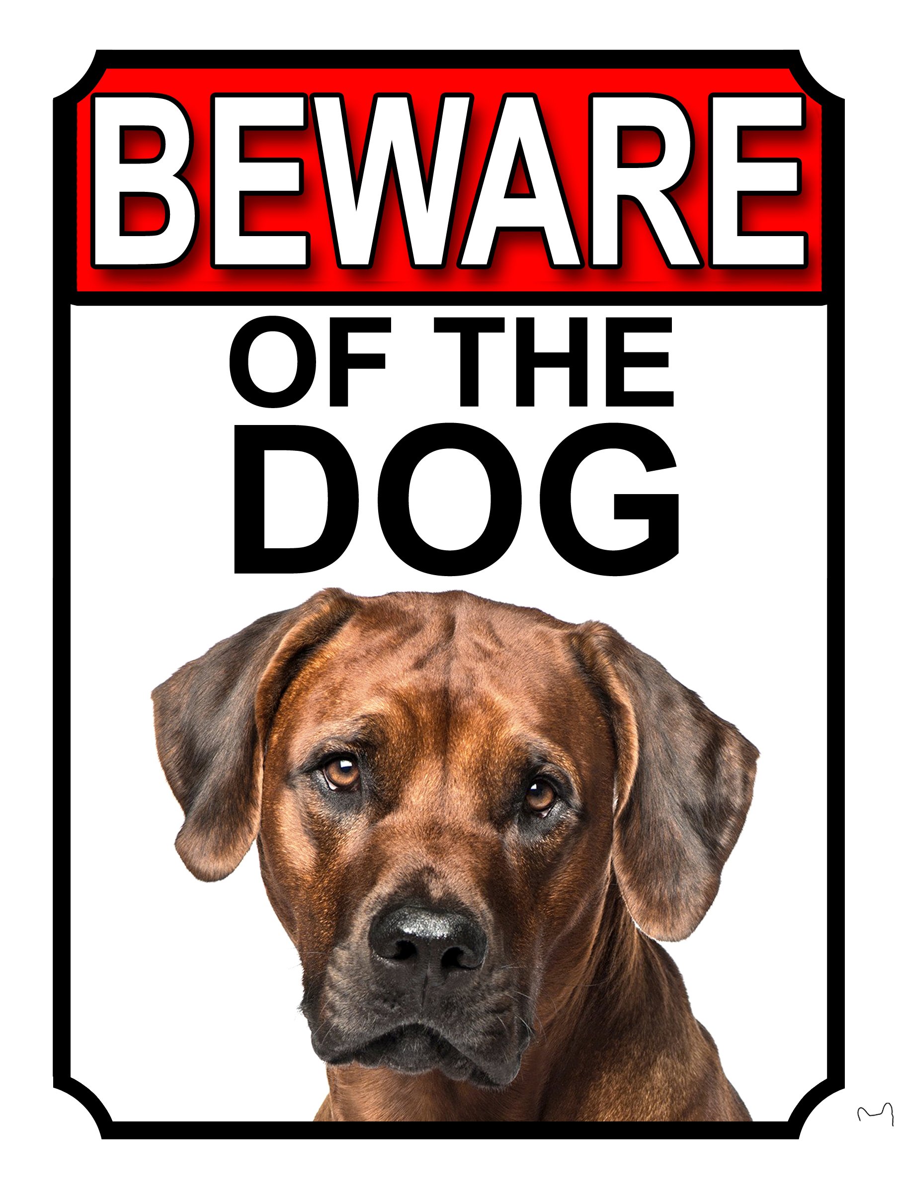 SHAWPRINT BEWARE OF THE DOG METAL GATE SIGN RHODESIAN RIDGEBACK 200MM X 150MM (1146H1)