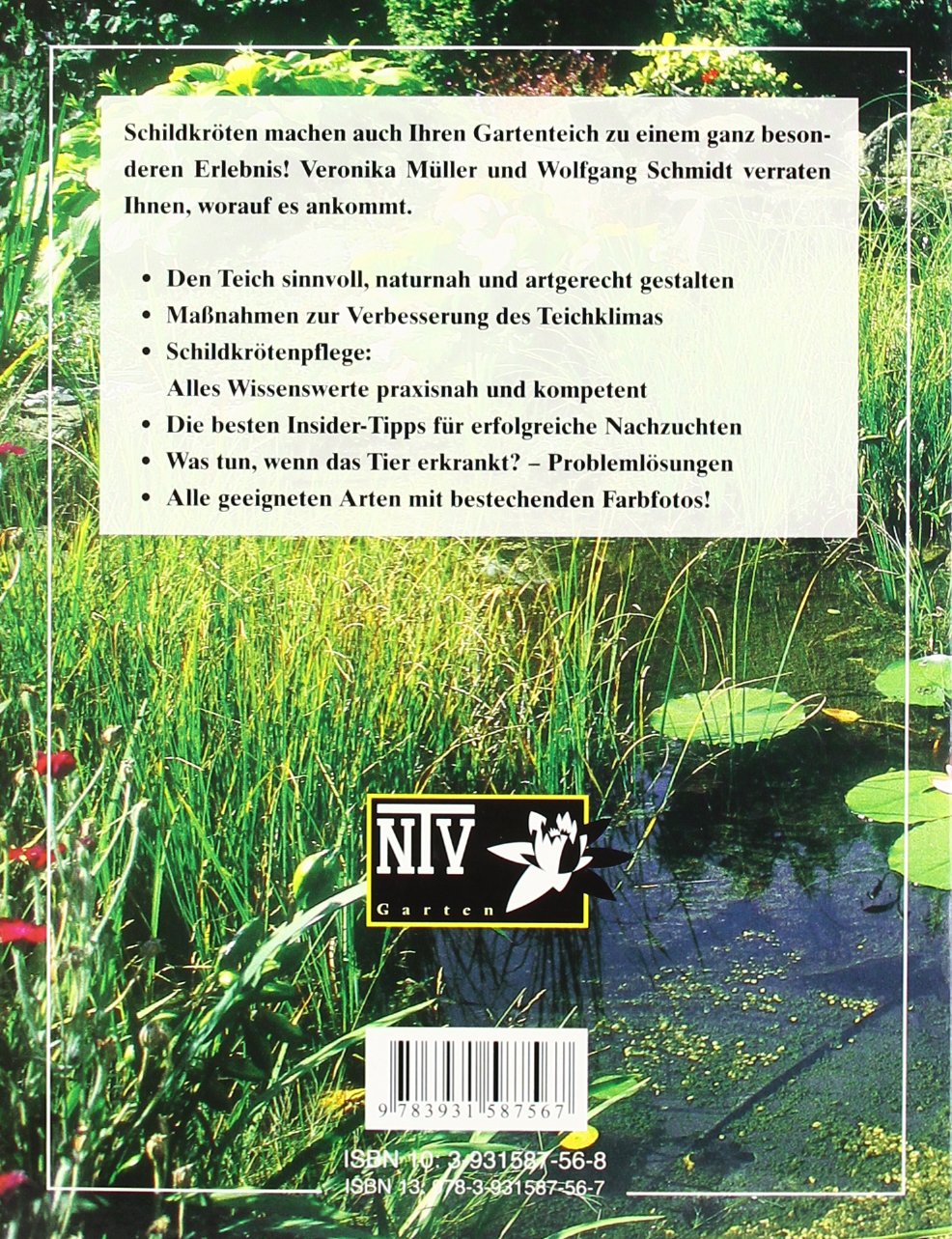 Schildkroten Im Gartenteich Muller Veronika Schmidt Wolfgang 9783931587567 Amazon Com Books