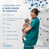 ANIGENE Surface Disinfectant Cleaner Byotrol 5 L Apple Scent UK Made view 4