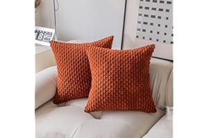 K KEVIN TEXTILE Kevin Textile Fall Soft Velvet Solid Square Decorative Cushion Cover Handmade Pillowcase with Hidden Zipper for Seasonal Autumn 2 Packs 18x18 Inch Burnt Brick