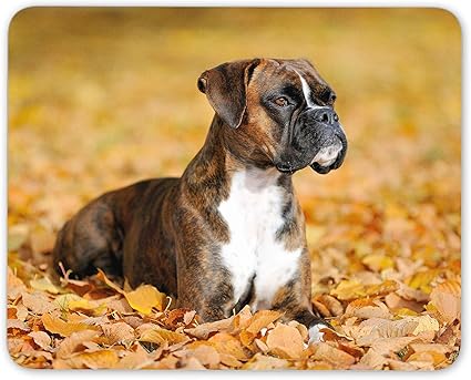 Amazon 美しいボクサー犬マウスマットパッド 子犬秋のペット動物コンピュータギフト Destination Vinyl Mats 家電 カメラ