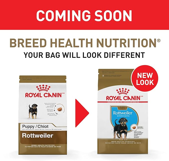 rottweiler puppy food royal canin