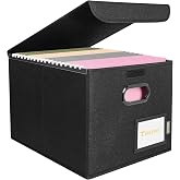 BALEINE File Organizer Box with Lid, Collapsible Hanging File Storage Box | Smooth Plastic Rails, Textured Fabric Exterior, Collapsible Hanging File Folder Box for Office Document Storage