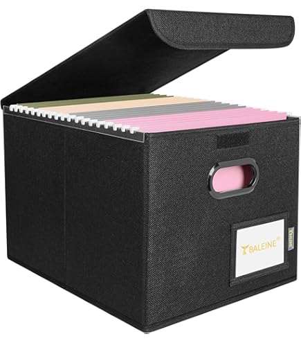 Amazon.com: Leitz Premium archive box with flap, 10 pieces, 100