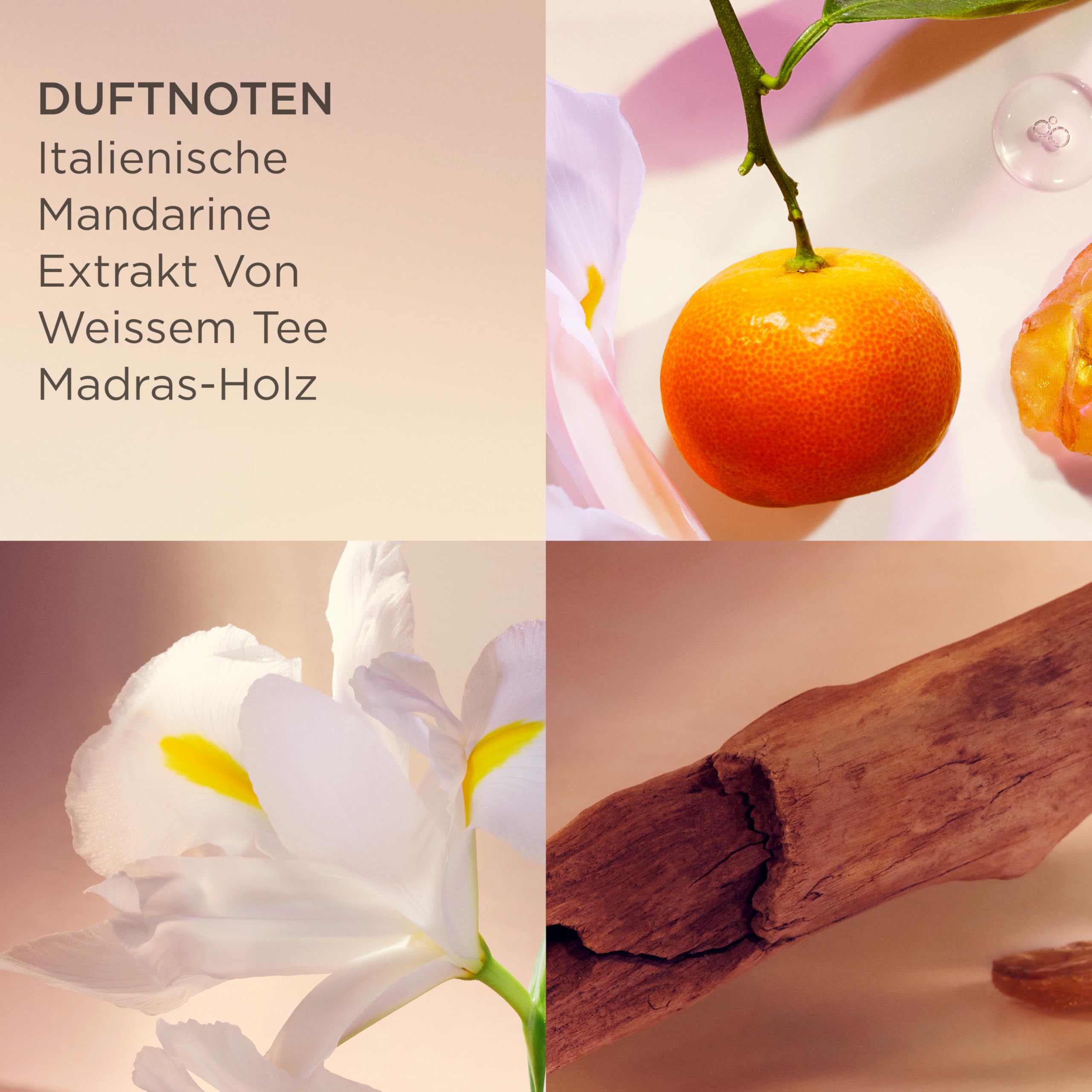 Elizabeth Arden - White Tea, Eau de Toilette Spray, Parfüm mit italienischer Mandarine, Weißer Tee-Extrakt und Madrasholz, blumig, feminin und süß, weiche Wärme, Parfüm für Damen - 100 ml 4