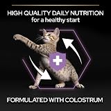 PRO PLAN Kitten 1-12M Healthy Start Dry Cat Food 3kg Chicken view 4