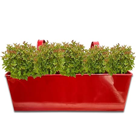 GIG Handicrafst Rectangular Modern Iron Garden Balcony Flowering Planter Window Planter Plant Holder (16 cm x 46 cm x 15 cm, Red)