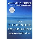 The Surrender Experiment: My Journey into Life's Perfection