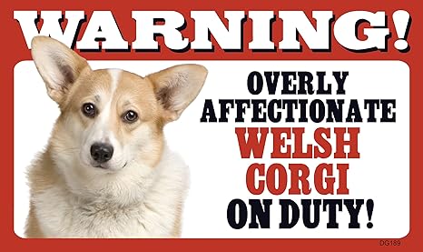 corgi sweater amazon