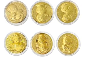 RUIZHUO Chinese New Year Decorations 2025 Fortune Coins, 6Pcs Lunar Year of The Snake Lucky Coins Traditional Golden Snake Good Wish Health Wealth Blessing Fengshui Coin Decor for Spring Festival Party Gifts