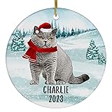 Santa Hat and Scarf Welcome Winter Gray British