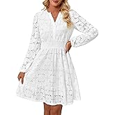 Women's Long Puff Sleeve Floral Mini Dress Spring V Neck Hollow Out Eyelet Lace Embroidery Ruffle A Line Swing Short Dresses