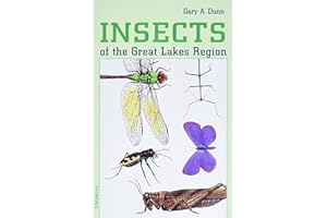 Insects of the Great Lakes Region