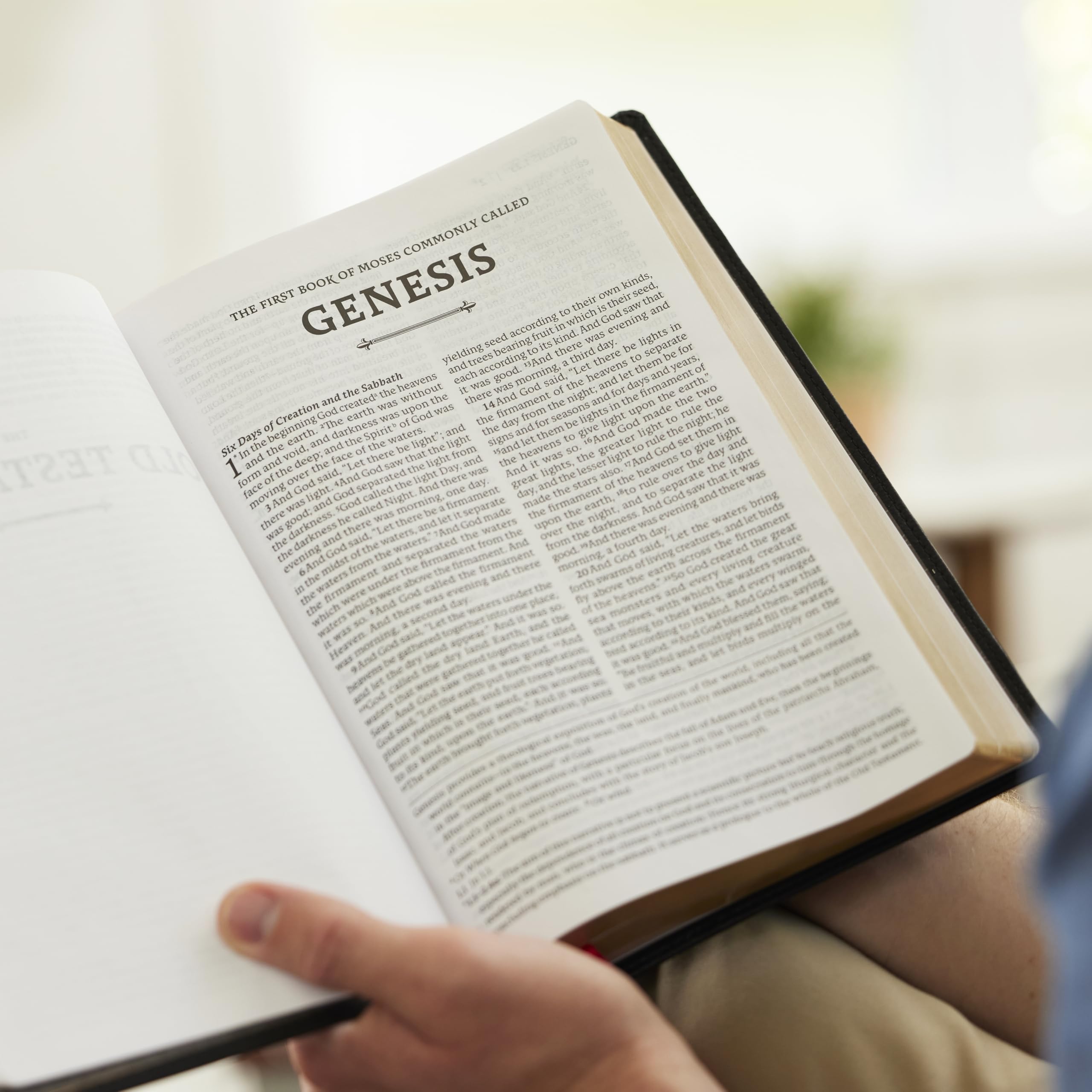 RSV2CE, Thinline Large Print Catholic Bible, Brown Leathersoft, Comfort Print