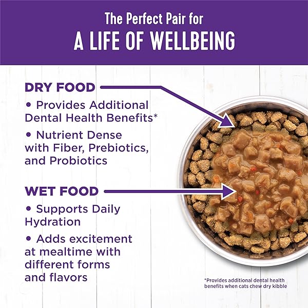 WELLNESS COMPLETE HEALTH GRAVY ADULT WET CAT FOOD, NATURAL, PROTEIN-RICH, GRAIN FREE, 3 OUNCE, 12 PACK, (TURKEY DINNER)