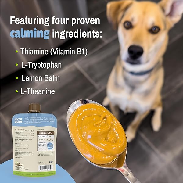 PET NATURALS BUSYBUTTER EASY SQUEEZE CALMING PEANUT BUTTER FOR DOGS 6OZ POUCH