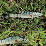 Truscend Swimmax Easy Catch Lure with Dyneema Joint and Rattle view 6