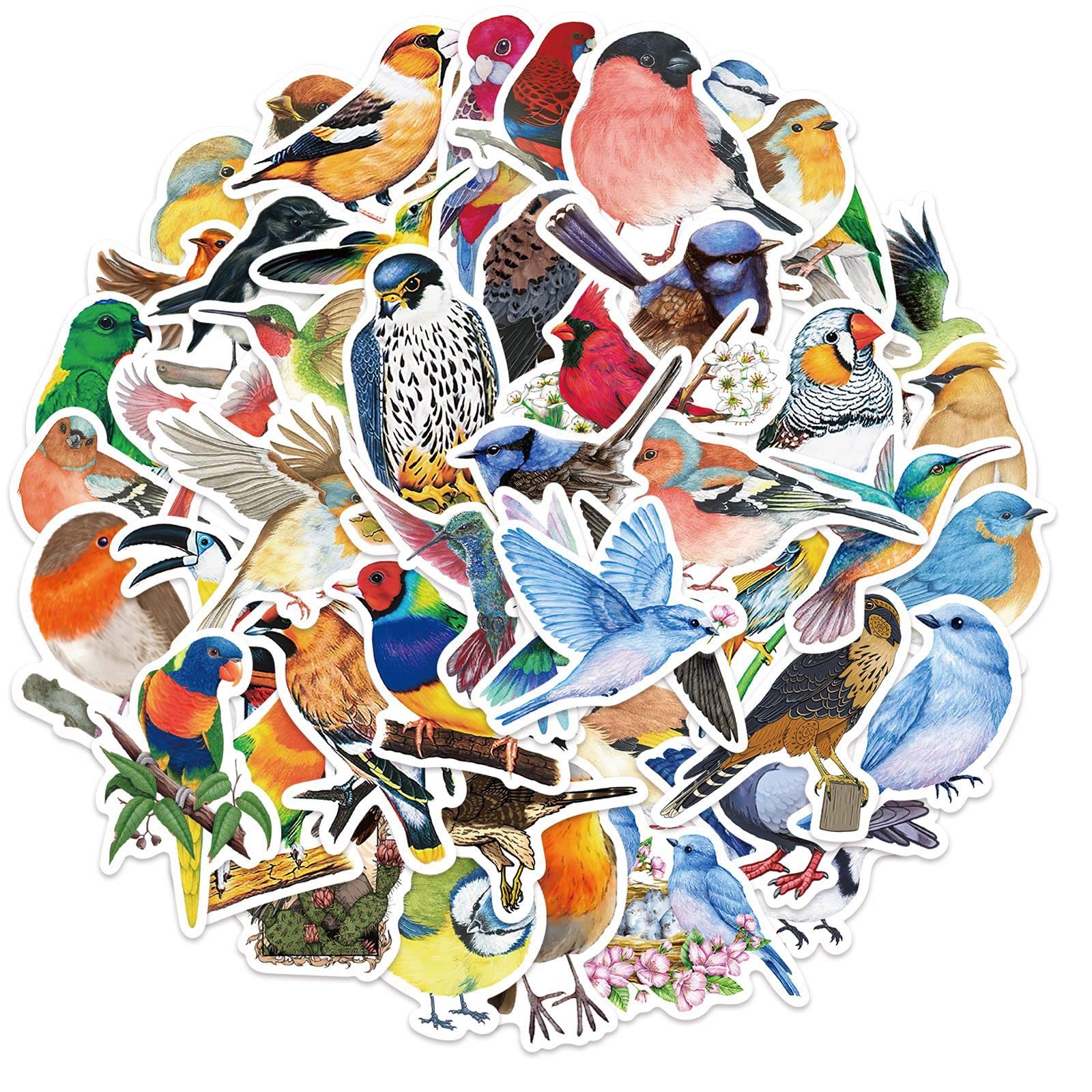 50 Pcs Watercolor Bird Stickers for Kids Teens Adults Boys Girls Gift,Stickers Pack for Laptop,Skateboard,Luggage,Car,Bike, Cup,Computer,Water Bottle Decor,Bird Vinyl Waterproof Sticker Decals