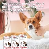 Beaphar FIPROtec COMBO Small Dogs 2–10kg 3 Pipettes Vet Strength view 6